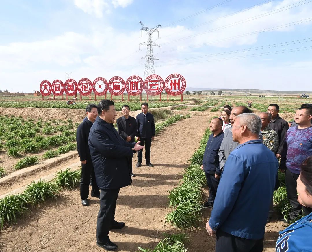 2020年5月11日，習近平考察山西大同市云州區(qū)有機黃花標準化種植基地。新華社記者 李學仁 攝